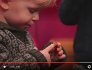 Experiential Marketing Agency based in Los Angeles, California